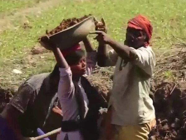 इंजीनियरिंग स्‍टूडेंट MGNREGA मजदूर बनने को मजबूर, फीस चुकाने को कर रही मिट्टी ढोने का काम