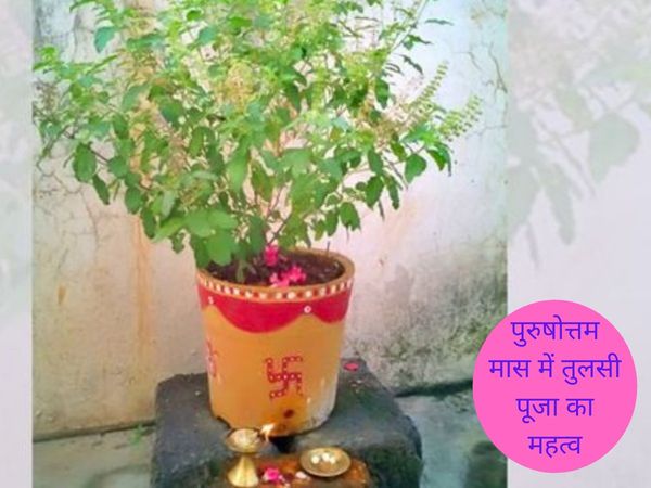 Tulsi Puja in Purushottam Maas, पुरुषोत्तम मास में तुलसी पूजा