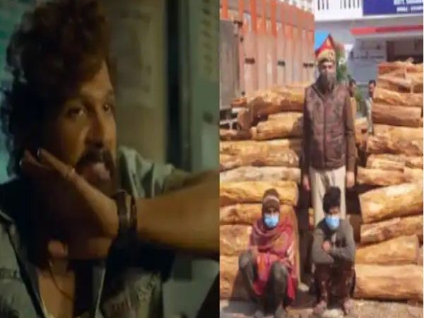 UP Police Arrested Two People With Khair Wood Worth rs 20 lakh tweet viral