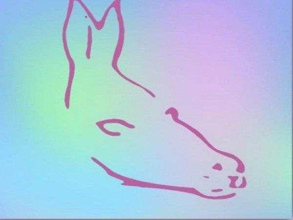 viral photo people think this is donkey in viral photo but truth is different