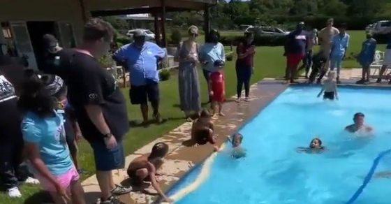 Snake Video Giant Python swimming With Little Kids Watch Viral Video ...