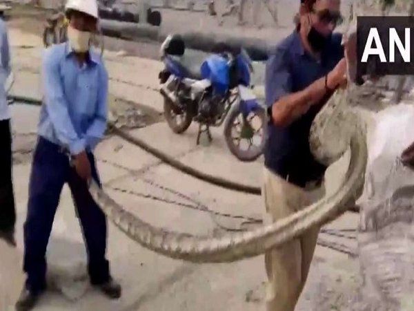 python in greater noida