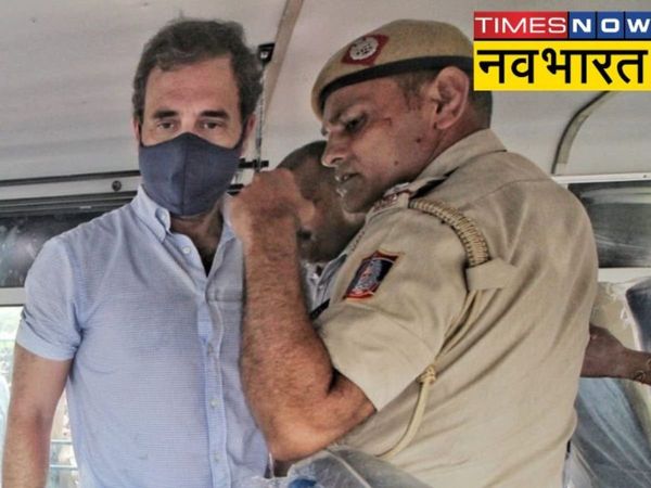 rahul gandhi, congress, ed, sonia gandhi