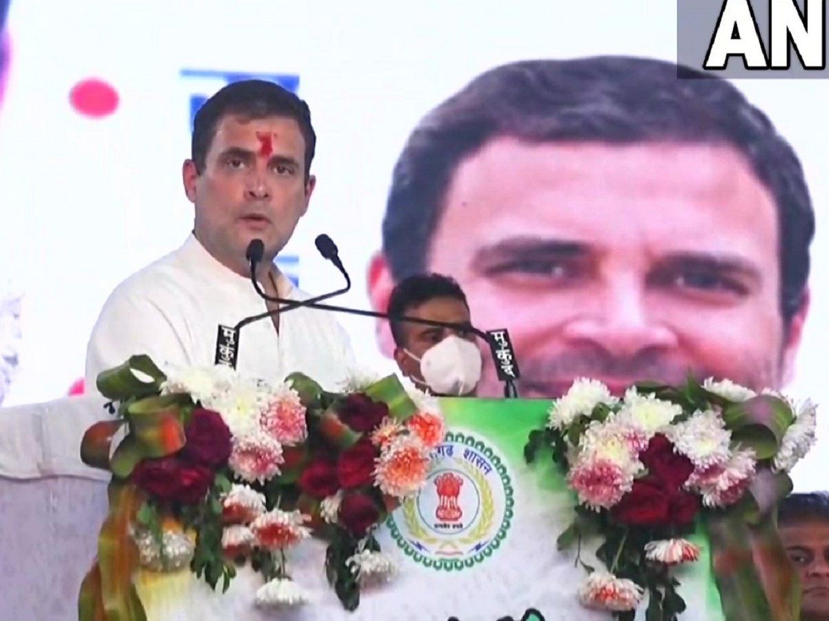 Rahul Randhi on Hijab Row: कर्नाटक में हिजाब पर बवाल के बीच राहुल गांधी का BJP पर तंज, 'मां शारदा सभी को बुद्धि दें'
