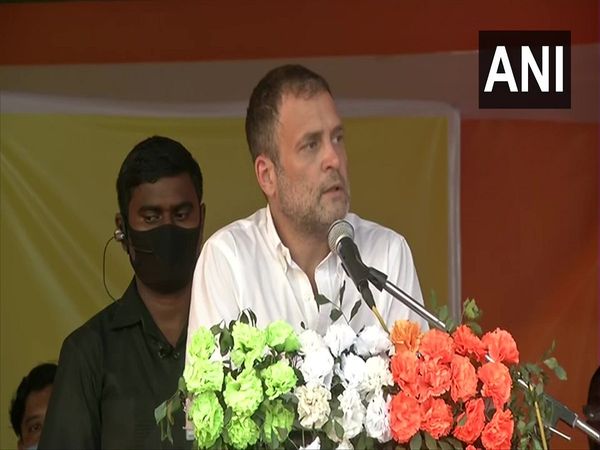 Rahul Gandhi:  क्या राहुल गांधी के लिए विदेशी सरजमीं है नागपुर, सवाल इसलिए..