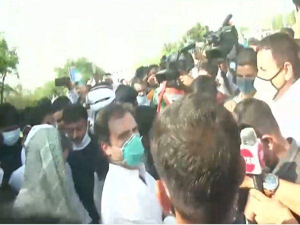 rahul gandhi viral video