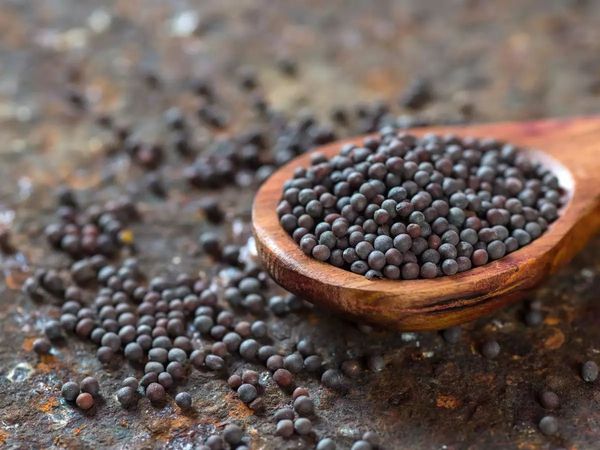 Health Benefits Of Mustard Seeds Health Care Mustard Benefits Hindi 