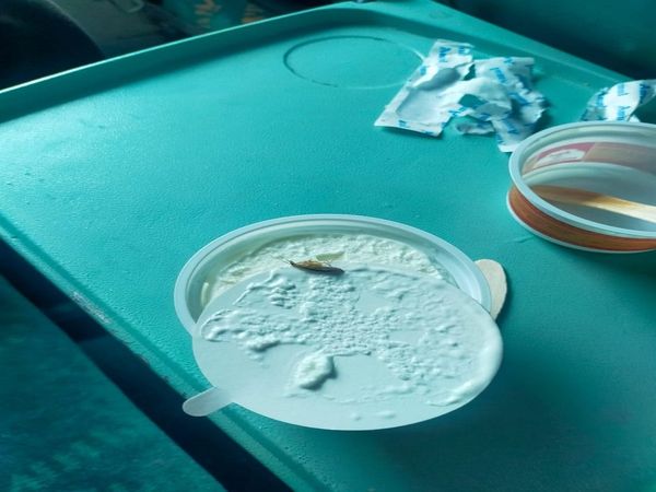 Cockroach found in passenger's ice cream in Shatabdi Express