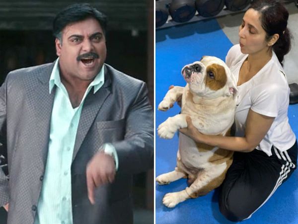 Ram Kapoor Bade Acche lagte hai star shouts dog Popeye peeing in his bedroom Watch Video
