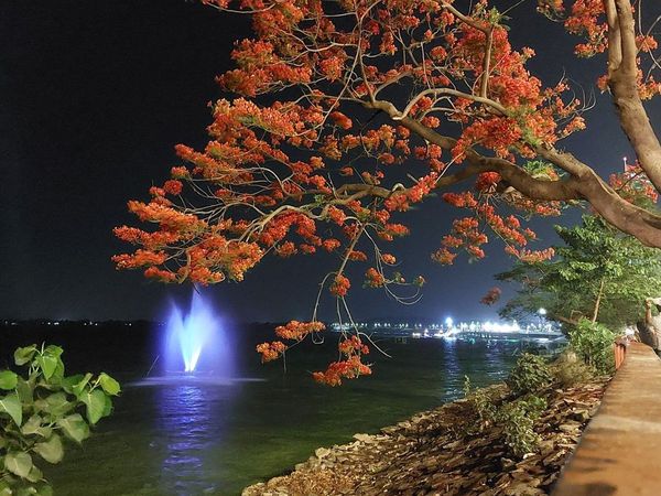 गोरखपुर, गोरखपुर न्यूज, यूपी , उत्तर प्रदेश , गोरखपुर शहर ,ट्रैवेल न्यूज , टूरिज्म न्यूज ,gorakhpur, gorakhpur news, up, uttar pradesh, gorakhpur city, travel news, tourism news