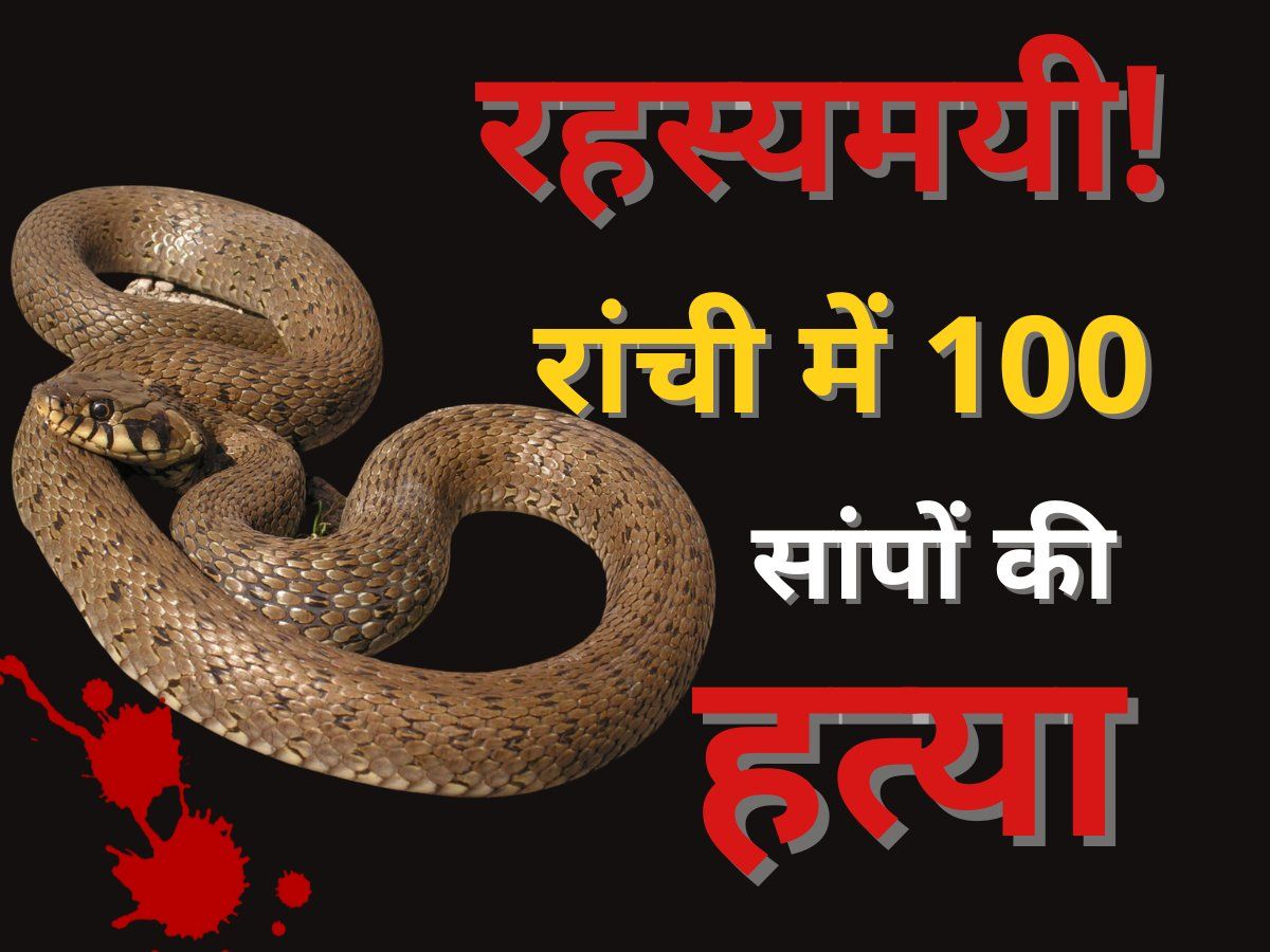 Ranchi Crime Killing of 100 snakes in Ranchi became a puzzle रांची