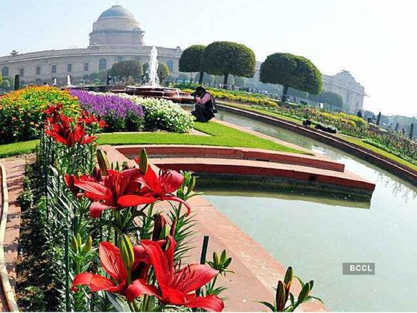 फूलों की नायाब दुनिया, शानदार फव्‍वारे, कुछ ऐसा है मुगल गार्डन, इस दिन से आप भी देख सकेंगे सुंदर नजारे