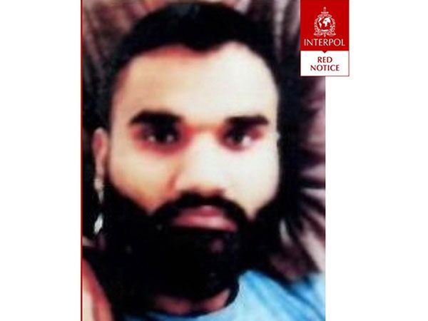 Red Corner Notice, Red Corner Notice in hindi, Red Corner Notice meaning in hindi, what is Red Corner Notice, what is Red Corner Notice, Red Corner Notice news, Sidhu Moose wala, Sidhu Moose wala death news, Sidhu Moose wala news, Sidhu Moose wala accused