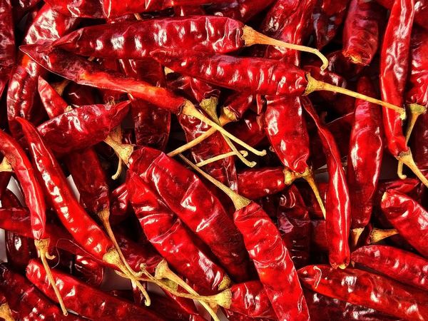 Red Chilli Astrology Tips