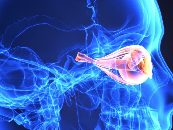 Diabetic Retinopathy Treatment Center,UP,government hospitals,डायबिटिक रेटिनोपैथी ट्रीटमेंट सेंटर