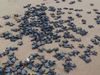 Olive Ridley turtles: गहिरमाथा बीच का नजारा होता है विहंगम, आप भी कह उठेंगे वाह, देखें [VIDEO]