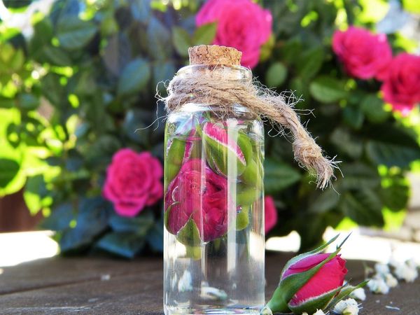 rose water uses and benefits