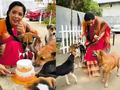 Rupali Ganguly Celebrates with Street Dogs Rupali Ganguly Celebrates with Street Dogs