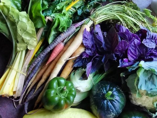 vegetables for weight loss