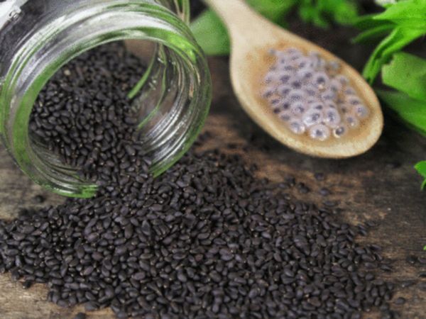 Sabja seeds, sabja seeds health benefits, health benefits of sabja seeds, health benefits of sabja seeds in hindi, sabja seeds for weight loss, sabja seeds for weight loss in hindi, सब्जा बीज, सब्जा बीज के फायदे, सब्जा बीज के फायदे क्या हैं, सब्जा बीज के 