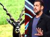 salman khan in black deer hunting case