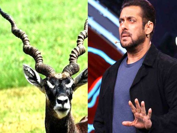 salman khan in black deer hunting case