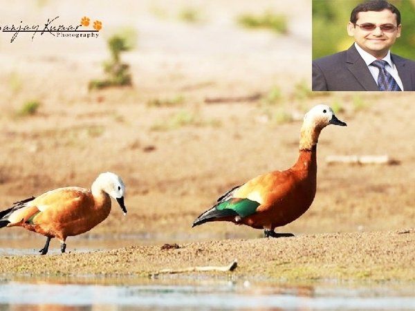 सहारनपुर कमिश्नर संजय कुमार का अनोखा तरीका, परिंदों के जरिए सोशल डिस्टेंसिंग की सीख