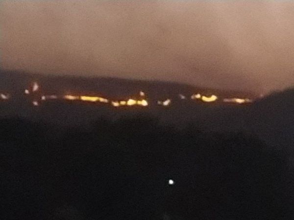 Fire in Rajasthan's sariska forest administration seeks help from army