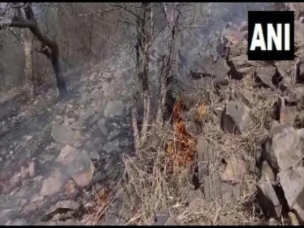 rajasthan, Fire, sariska tiger reserve,