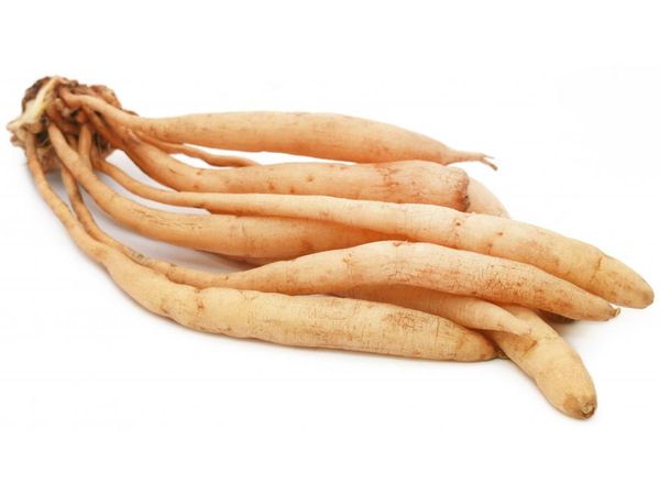 Health Tips Benefits Of Shatavari For Women