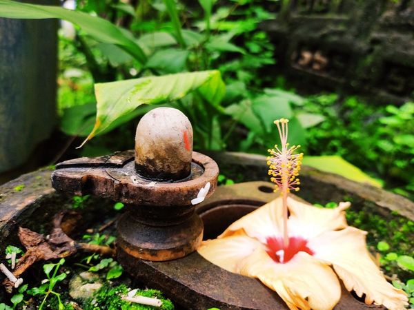 sawan vastu dosh upay