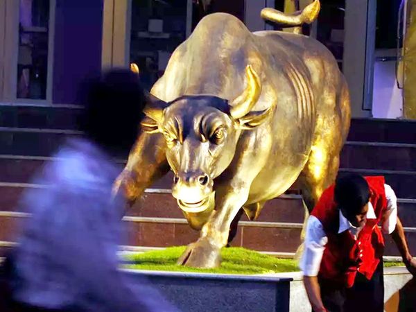 Sensex bull