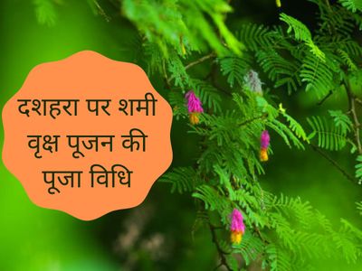 shami pujan vidhi in hindi in dussehra, how to perform shami pujan on dussehra shami pujan vidhi in hindi in dussehra, how to perform shami pujan on dussehra