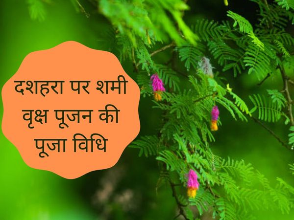 shami pujan vidhi in hindi in dussehra, how to perform shami pujan on dussehra