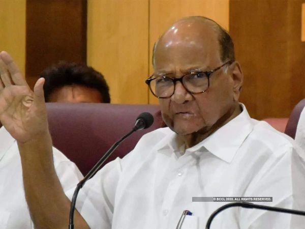 maharashtra, udhav thakray, sharad pawar, shivsena, ncp