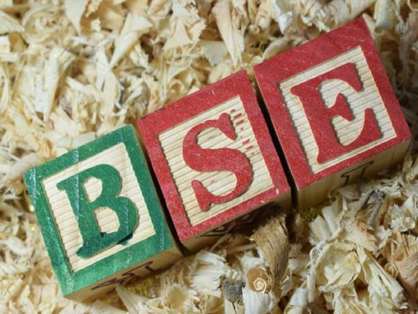 Bombay Stock Exchange BSE on CEO search as Ashish Kumar Chauhan term is ended