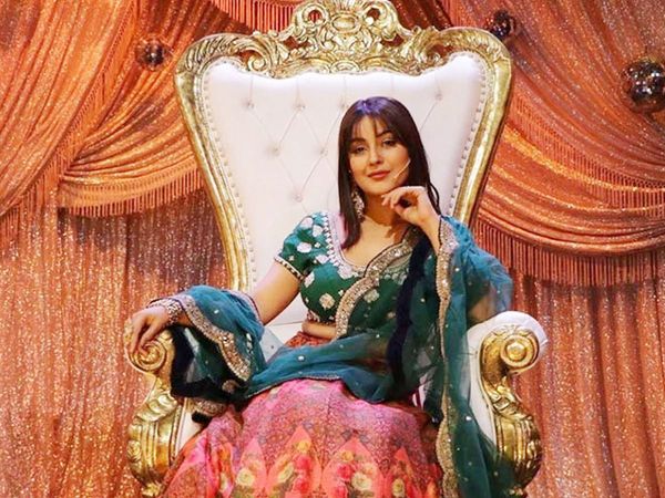 Shehnaaz Gill Charge lakhs For one Insta Post Know punjabi Actress bigg boss 13 contestant Fees
