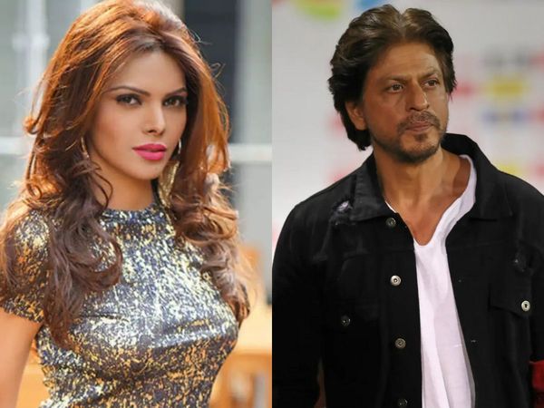 sherlyn chopra said star wives were having white powder in a kkr party, sherlyn chopra shared a video on her twitter account and accused bollywood stars for consuming addictive products