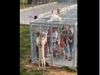 Human in Cage Animals Roaming shocking Video Goes Viral