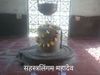 Sahastralingam Mahadev, सहस्त्रलिंगम महादेव