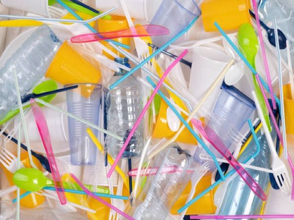 single use plastic ban from 1st july