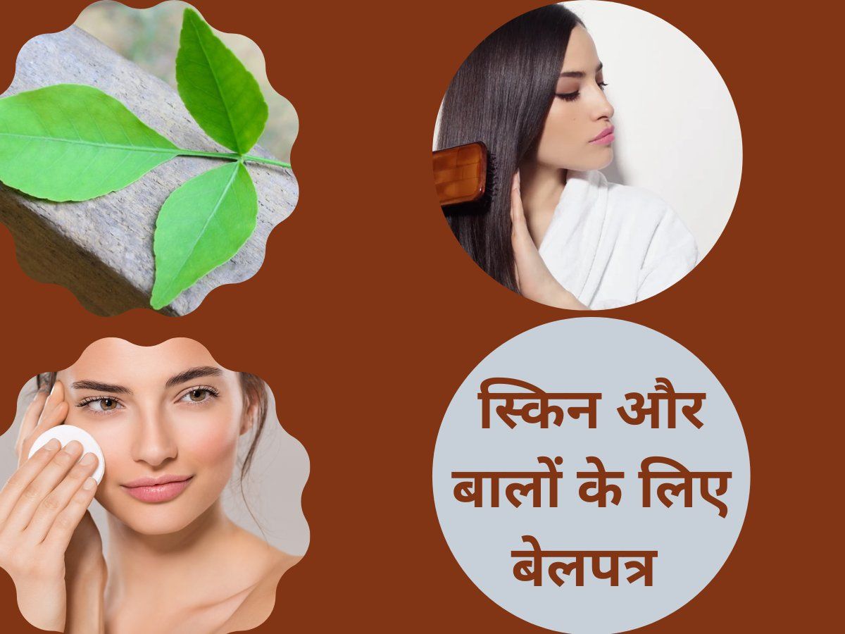 Bel Patra Leaves स्किन और बालों पर करें बेलपत्र का इस्तेमाल, हो जाएंगी कई समस्याएं दूर
