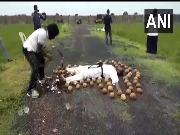 smashing coconut with blindfold