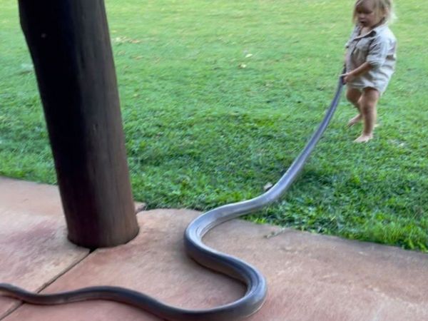 Snake Video Little Boy play with giant Snake Viral Video in Hindi