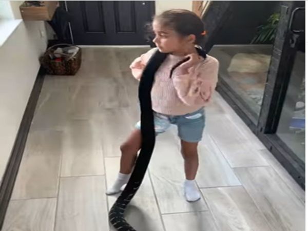 Little Girl Play with Giant Snake Video Goes Viral