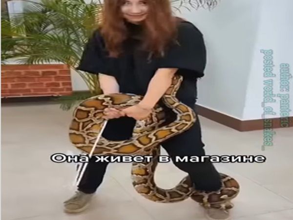 Giant snake grabbed woman leg Then What Happened Watch Viral Video