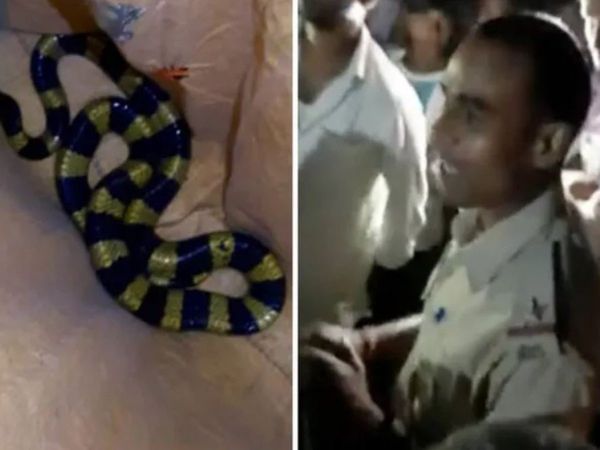 forest guard rescues venomous snake  then delivers impromptu speech to create awareness video viral