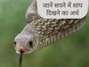snakes in dreams, what happen if we see snake in dream, things that can happen when we see snakes in dreams, advantages of seeing snake in dreams, disadvantages of seeing snake in dreams, saanp dekhne se kya hota hai, sapne me saanp dekhne ke fayde, sapne