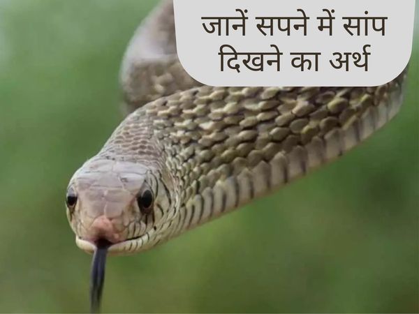snakes in dreams, what happen if we see snake in dream, things that can happen when we see snakes in dreams, advantages of seeing snake in dreams, disadvantages of seeing snake in dreams, saanp dekhne se kya hota hai, sapne me saanp dekhne ke fayde, sapne