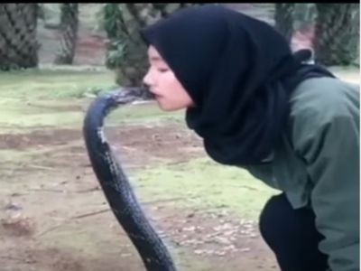Snake Video Girl Kiss To poisonous Snake Watch Shocking Video, Shocking:  खतरनाक सांप को अचानक किस करने लगी लड़की, वीडियो देख रोंगटे खड़े हो जाएंगे